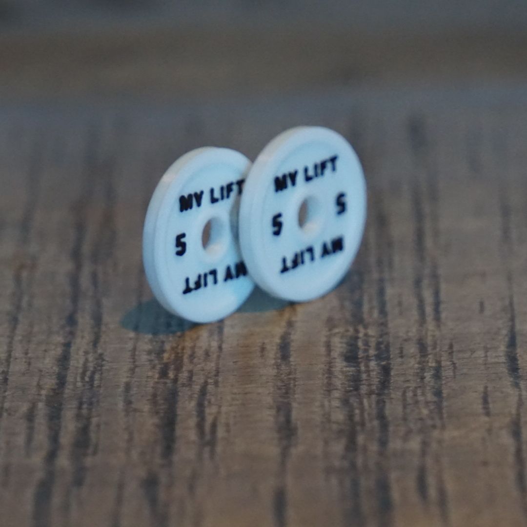 Plates SBD 5kg (lot de 2)