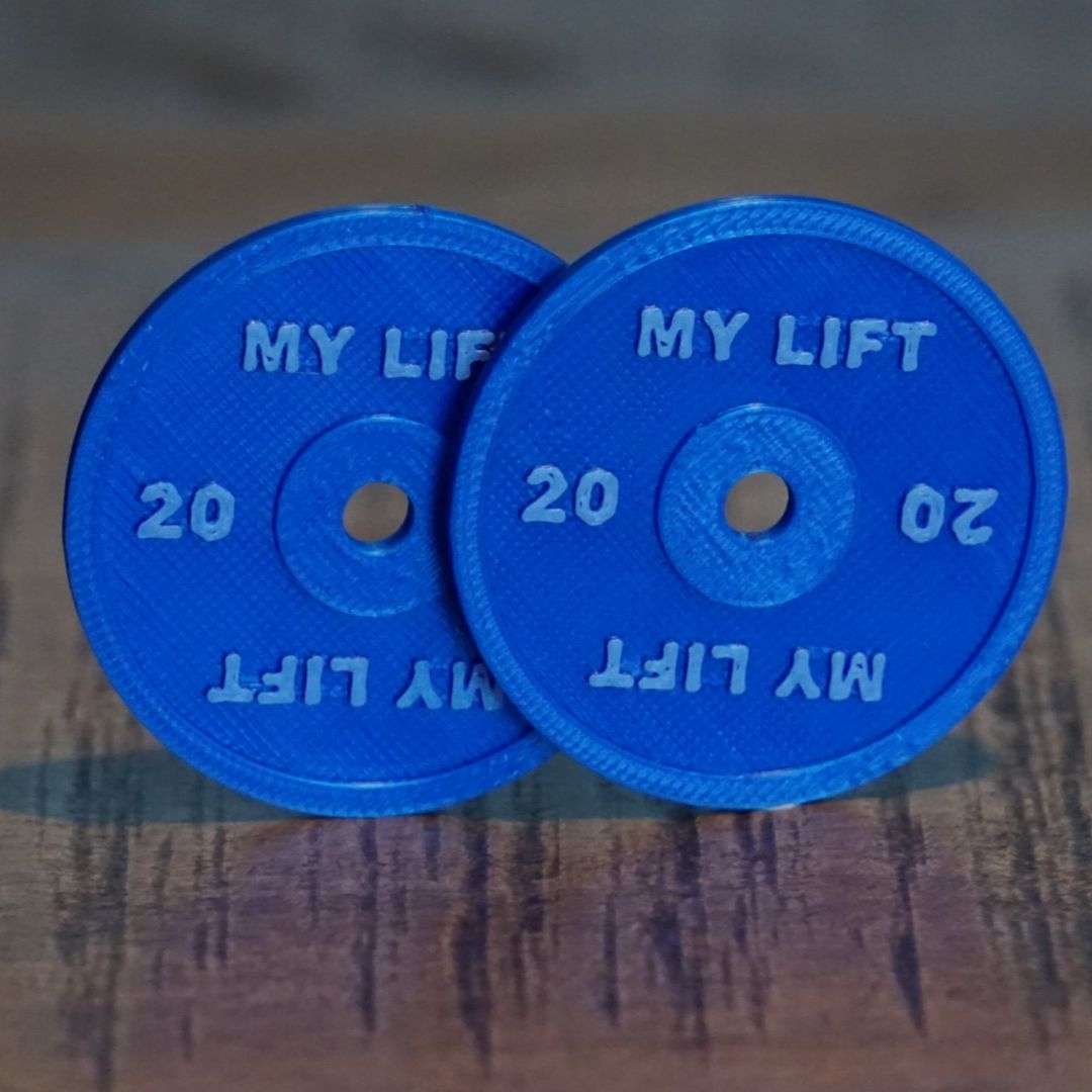 Plates SBD 20kg (lot de 2)