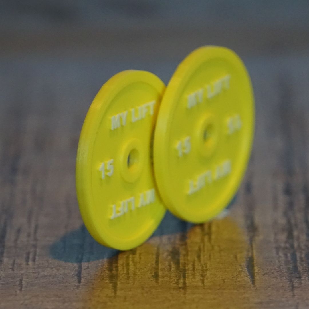 Plates SBD 15kg (lot de 2)